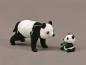 Preview: Panda und Kind