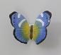 Preview: Schmetterling blaugelb