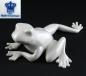 Preview: Frosch Fridolin weiss