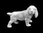 Preview: Kleiner Spaniel Bisquit