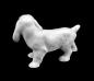 Preview: Kleiner Spaniel Bisquit