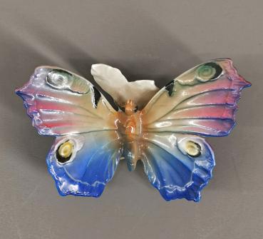 Schmetterling Ens