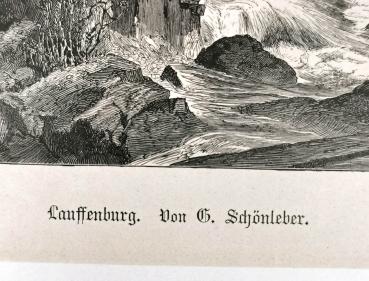Schönleber, Lauffenburg