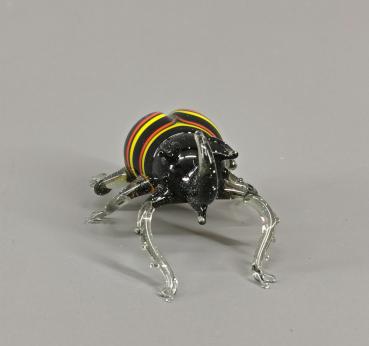 Käfer Rüssel
