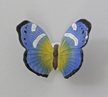 Schmetterling blaugelb