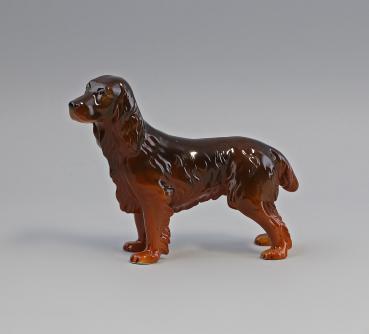 Spaniel