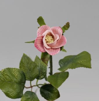 Porzellan - Stielrose rosa gefärbt-geriffelt