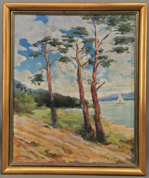 Stallbohm, Kiefern am See