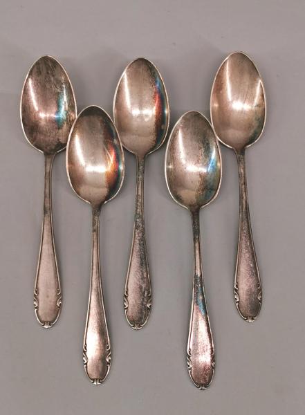 5 Speiselöffel in Schachtel