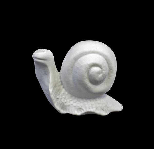 Schnecke bisquit