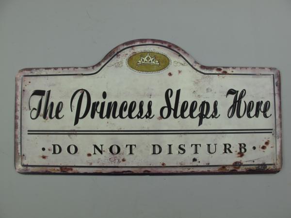Blechschild  Rill Princess sleeps here