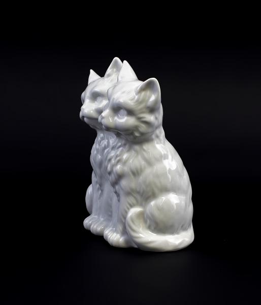 Katzen-Paar weiss